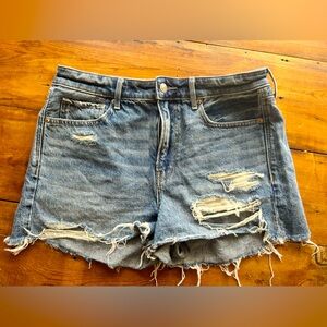 American Eagle Denim Denim Shorts